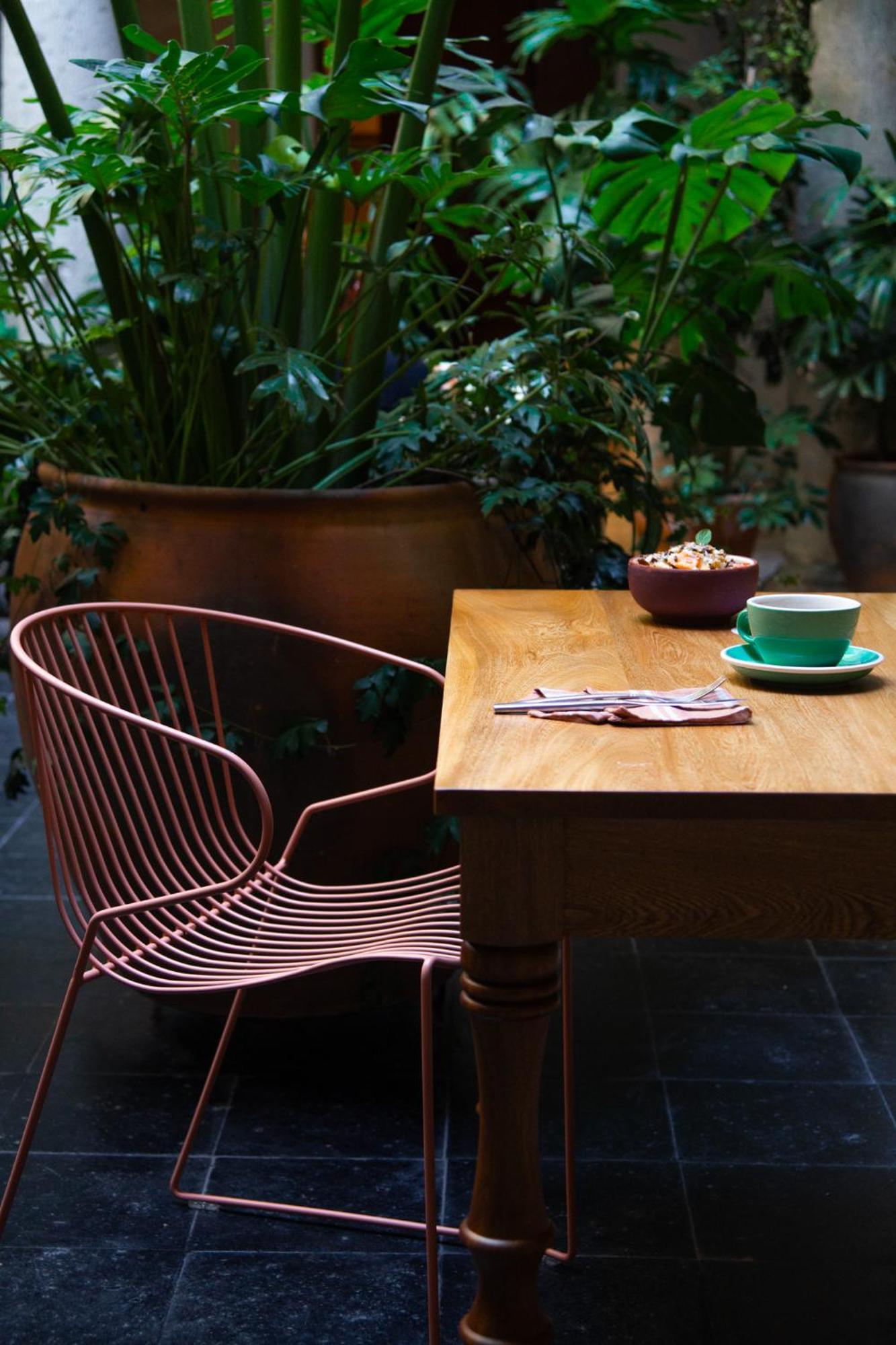 Casa Antonieta Hotel Oaxaca Екстериор снимка
