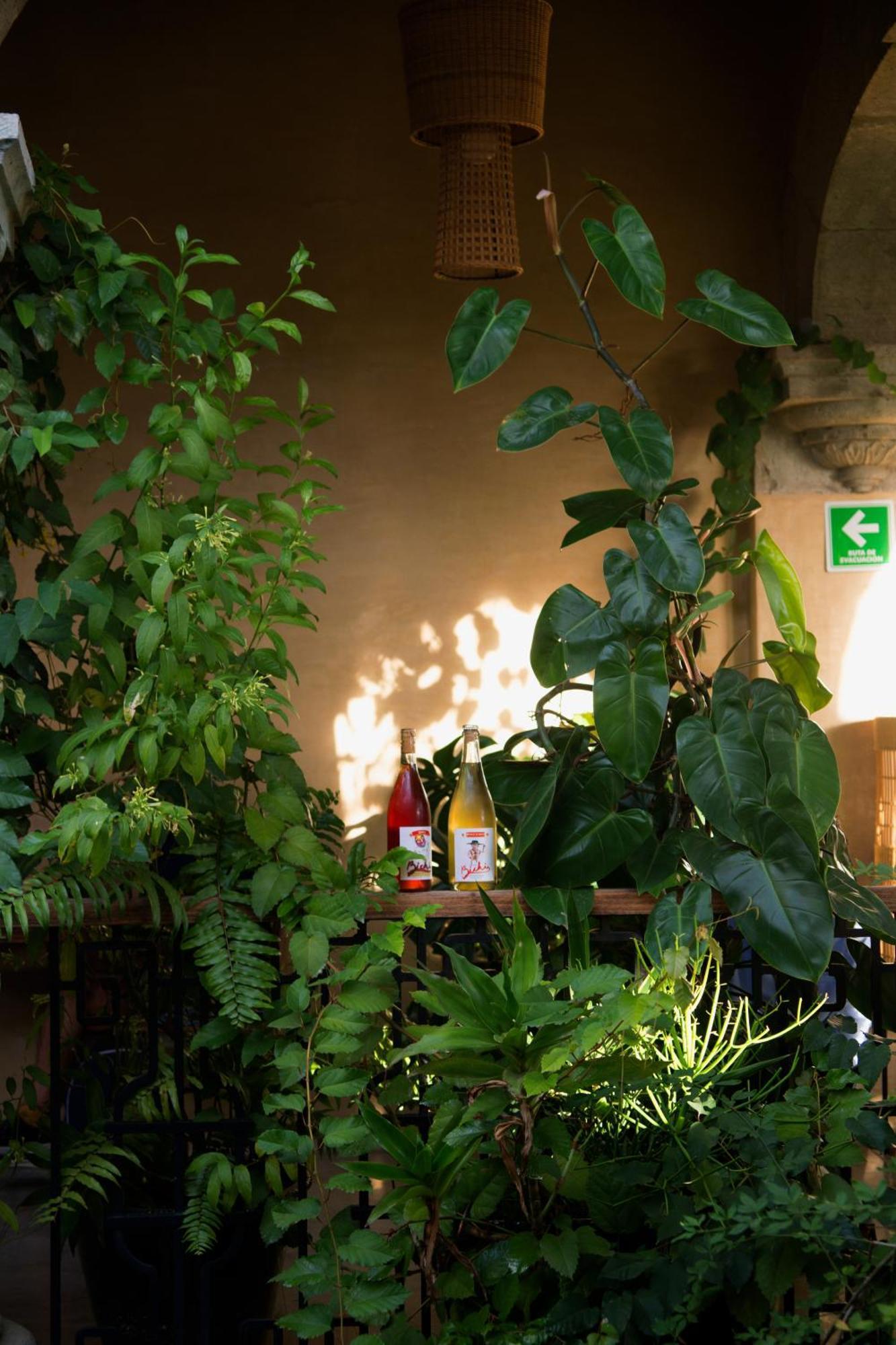 Casa Antonieta Hotel Oaxaca Екстериор снимка